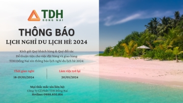 Hoạt động Teambuild 2024